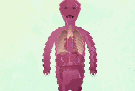 8.gif