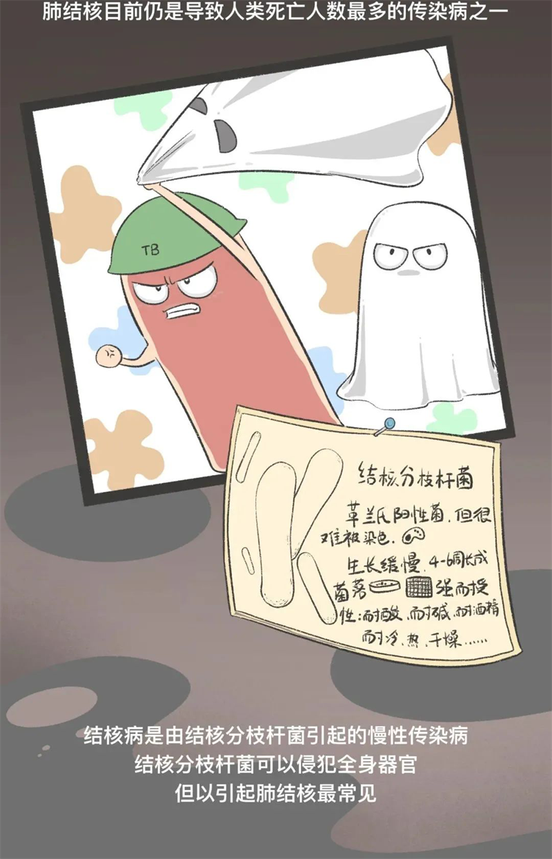 新建 DOC 文档3.png