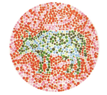 444.png
