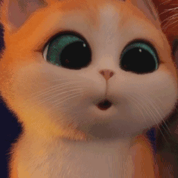 16.gif