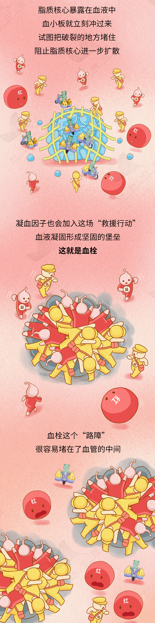 8_副本.png