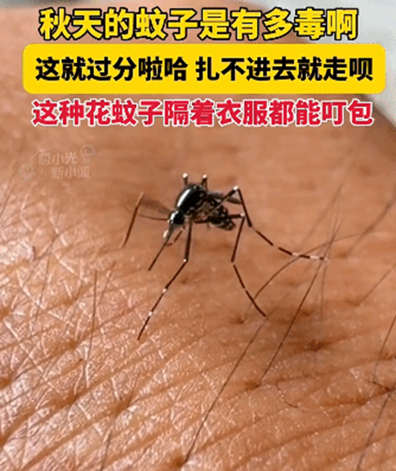 1758869785644539.png 3.png