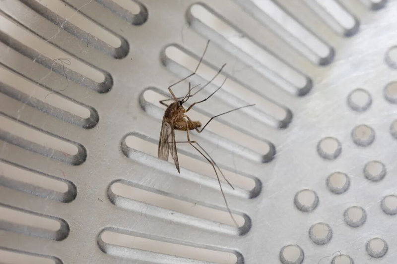 1758869939520122.png 5.png