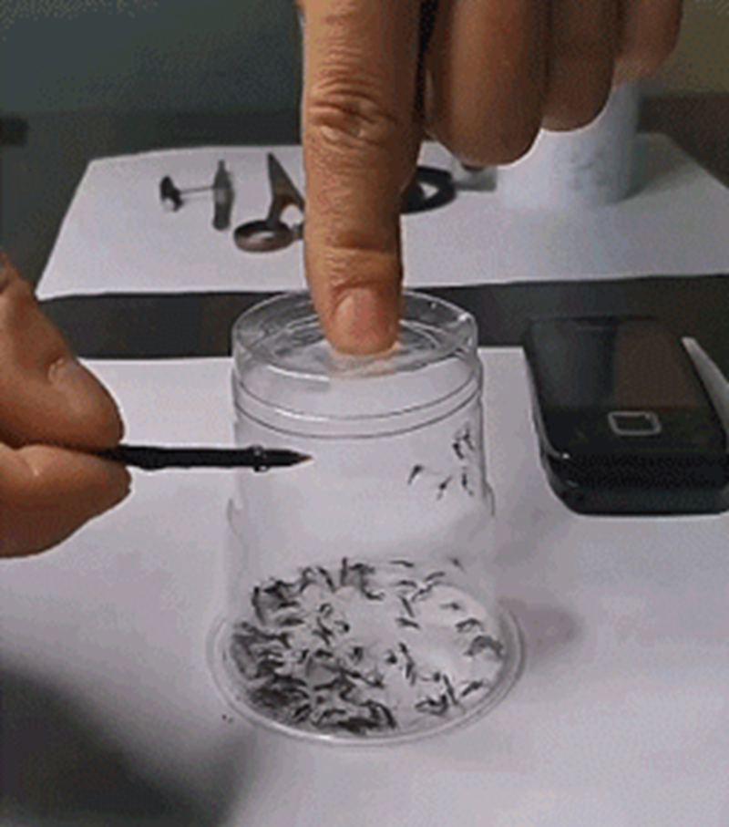 1758870090926798.png 11.png