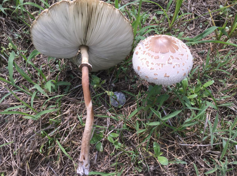 1759496915110330.png 2_副本.png