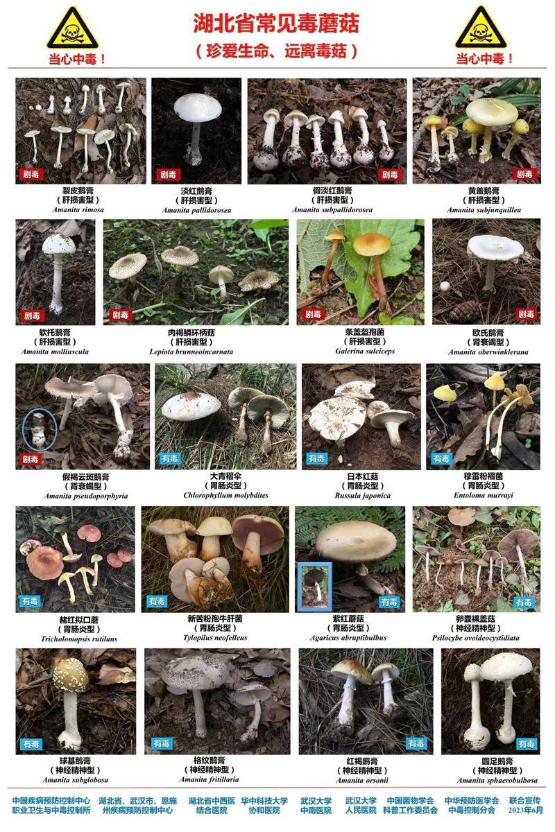 1759496935258708.jpg 4_副本.jpg