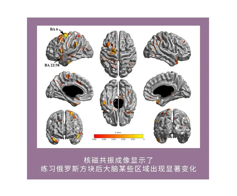 1759911414310375.jpg 14_副本.jpg