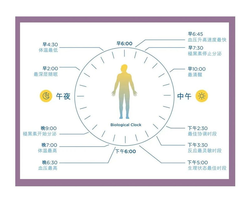 1759911481634229.jpg 17_副本.jpg