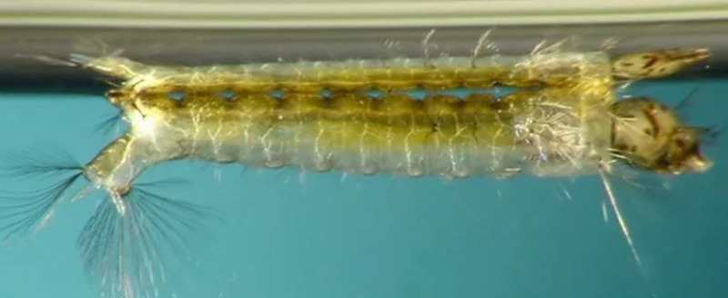 1760401816469270.png 2.png