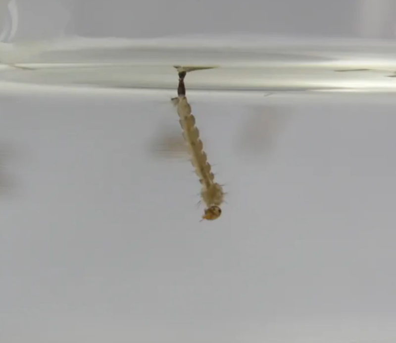 1760401828665324.png 3.png