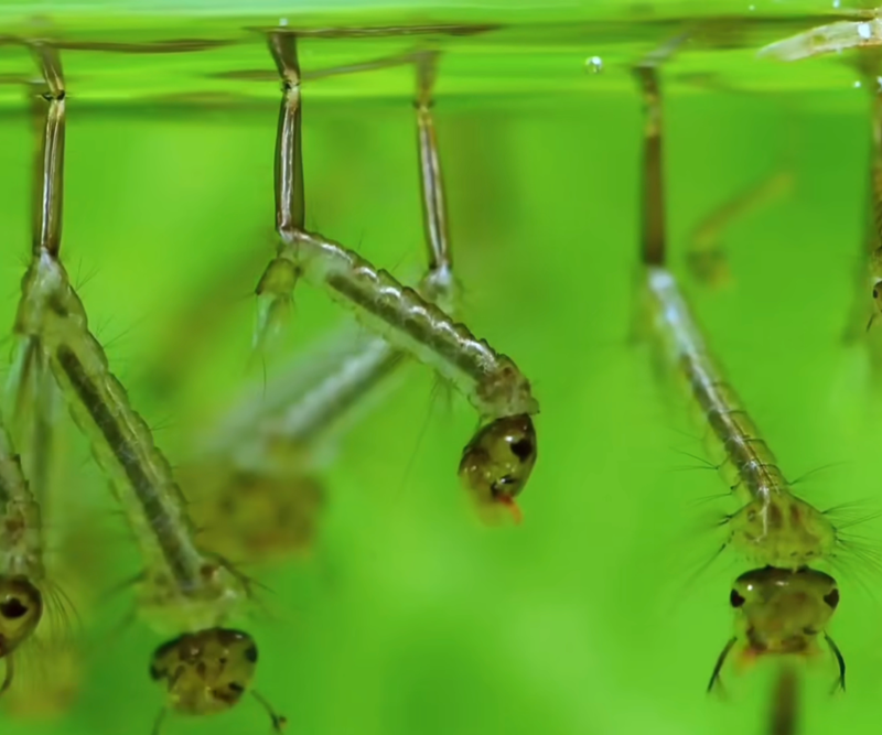 1760401849424309.png 4.png