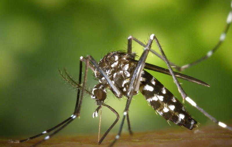 1760517584456242.png 1.png