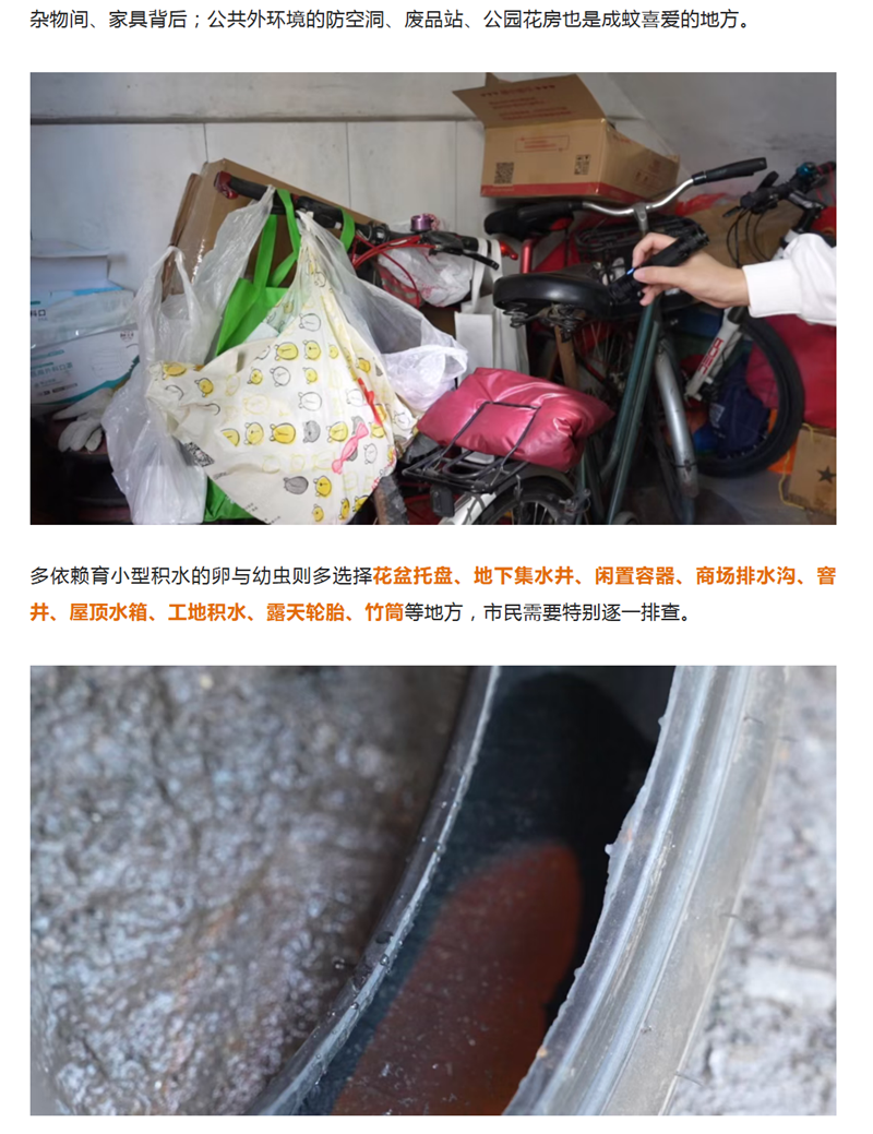 1763259953665601.png 222_副本.png