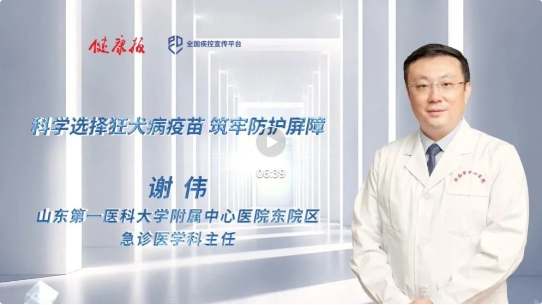 1764204015189838.png 6.png