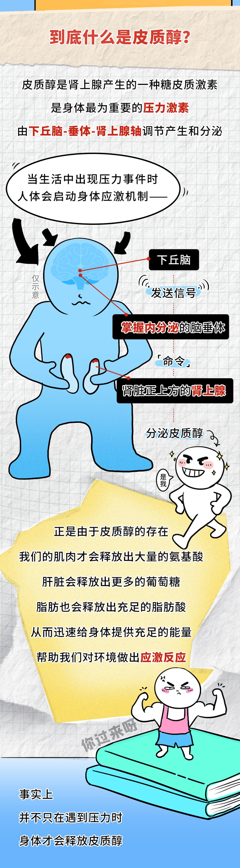 1764551636819807.jpg 2.jpg