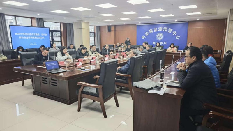 1765166331426901.png 图片2.png