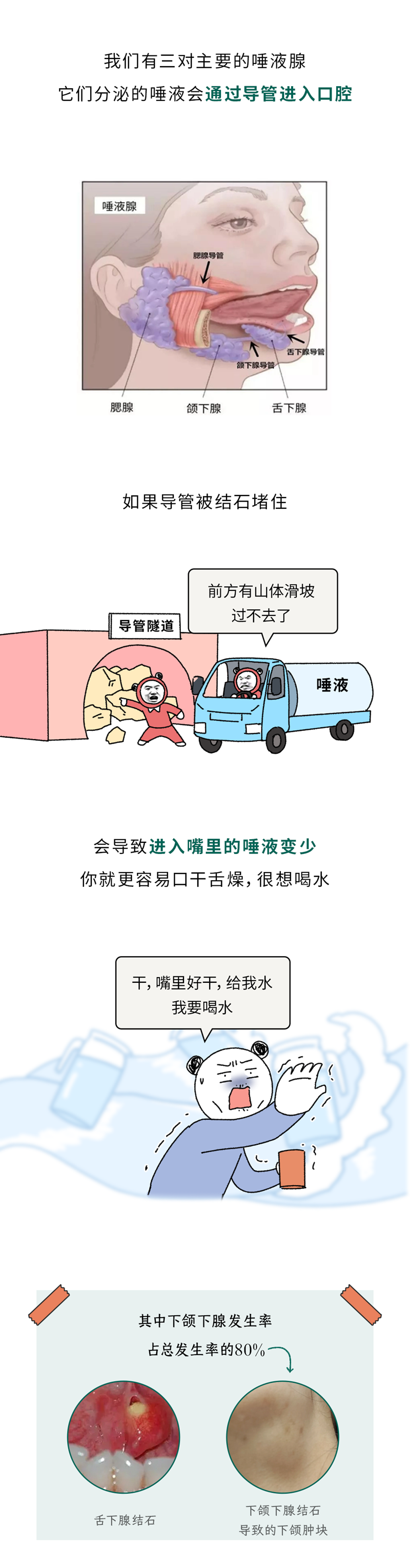 1765242255440098.png 8.png